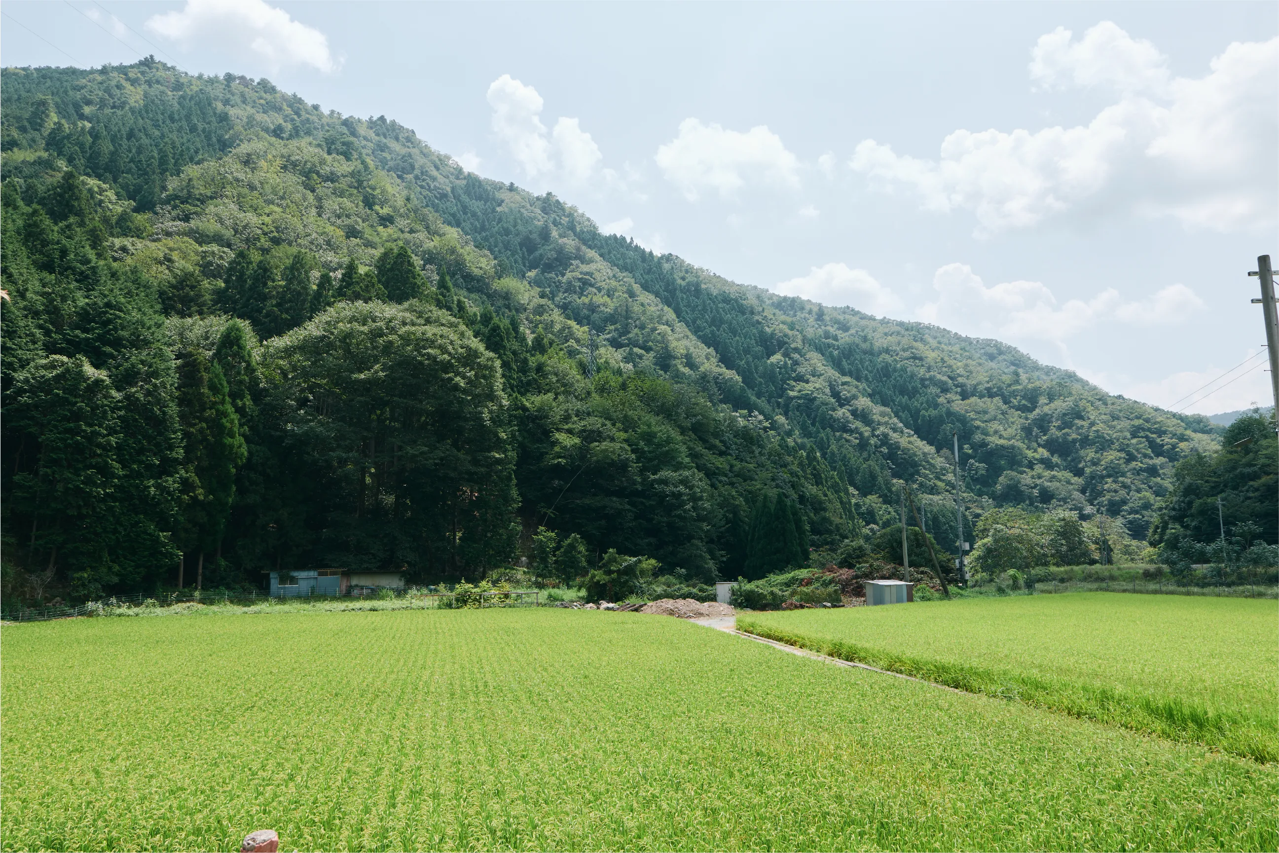 畑と山に囲まれた田舎の様子