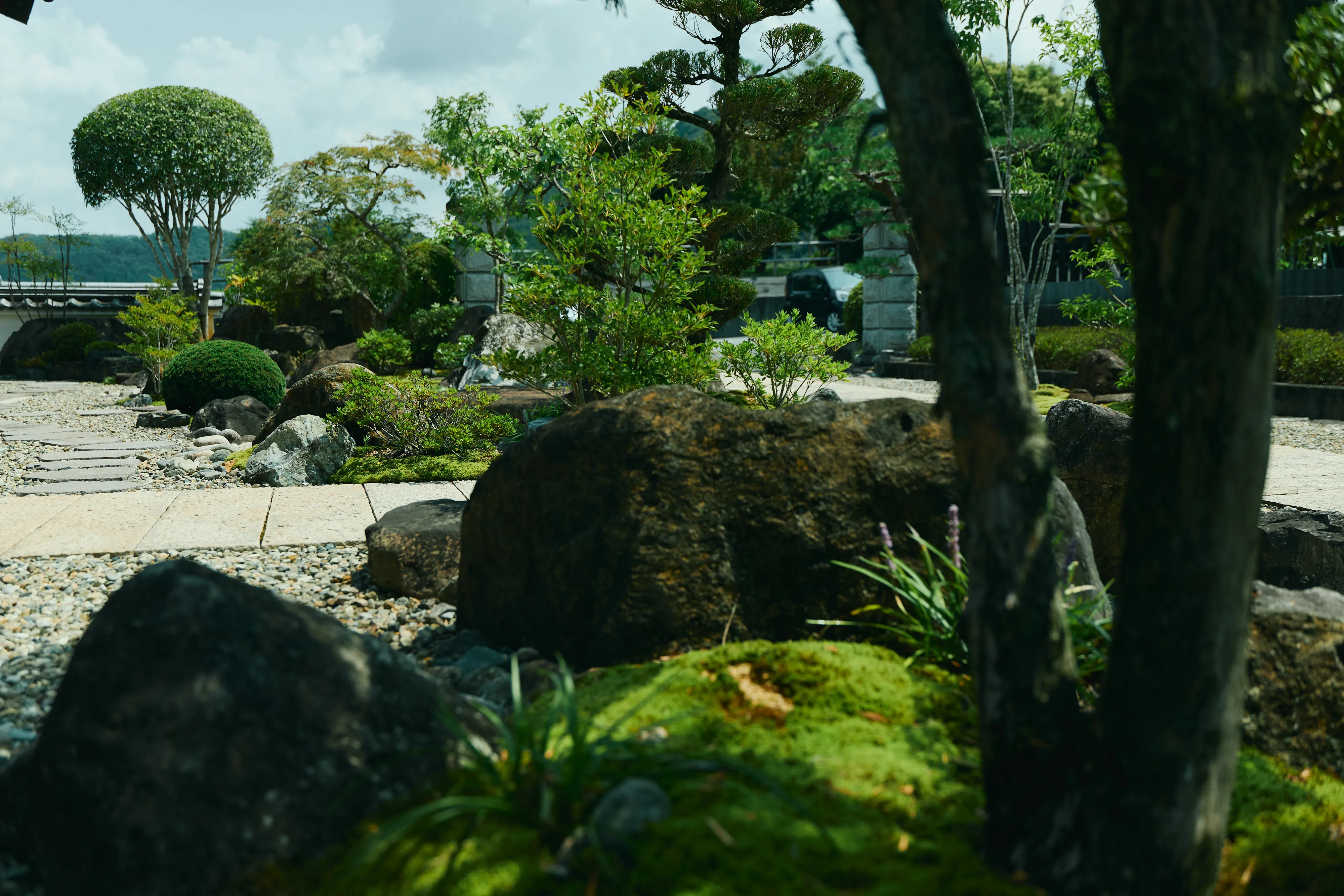 苔が生えた美しい庭の様子