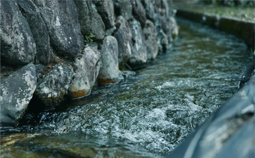 水が流れる様子