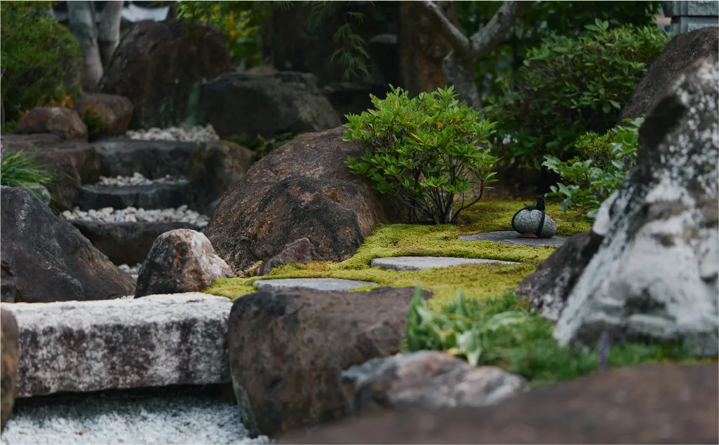 苔と石の庭の写真