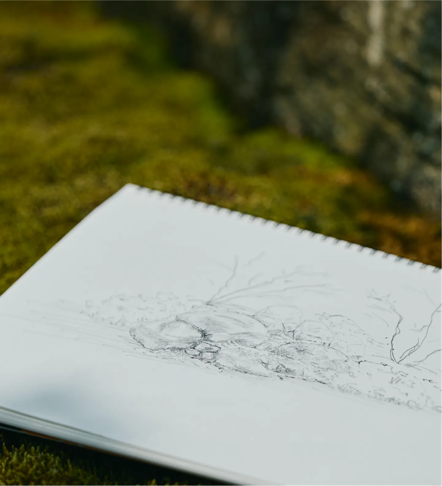 苔の生えた庭に絵が描かれたノートが置いている