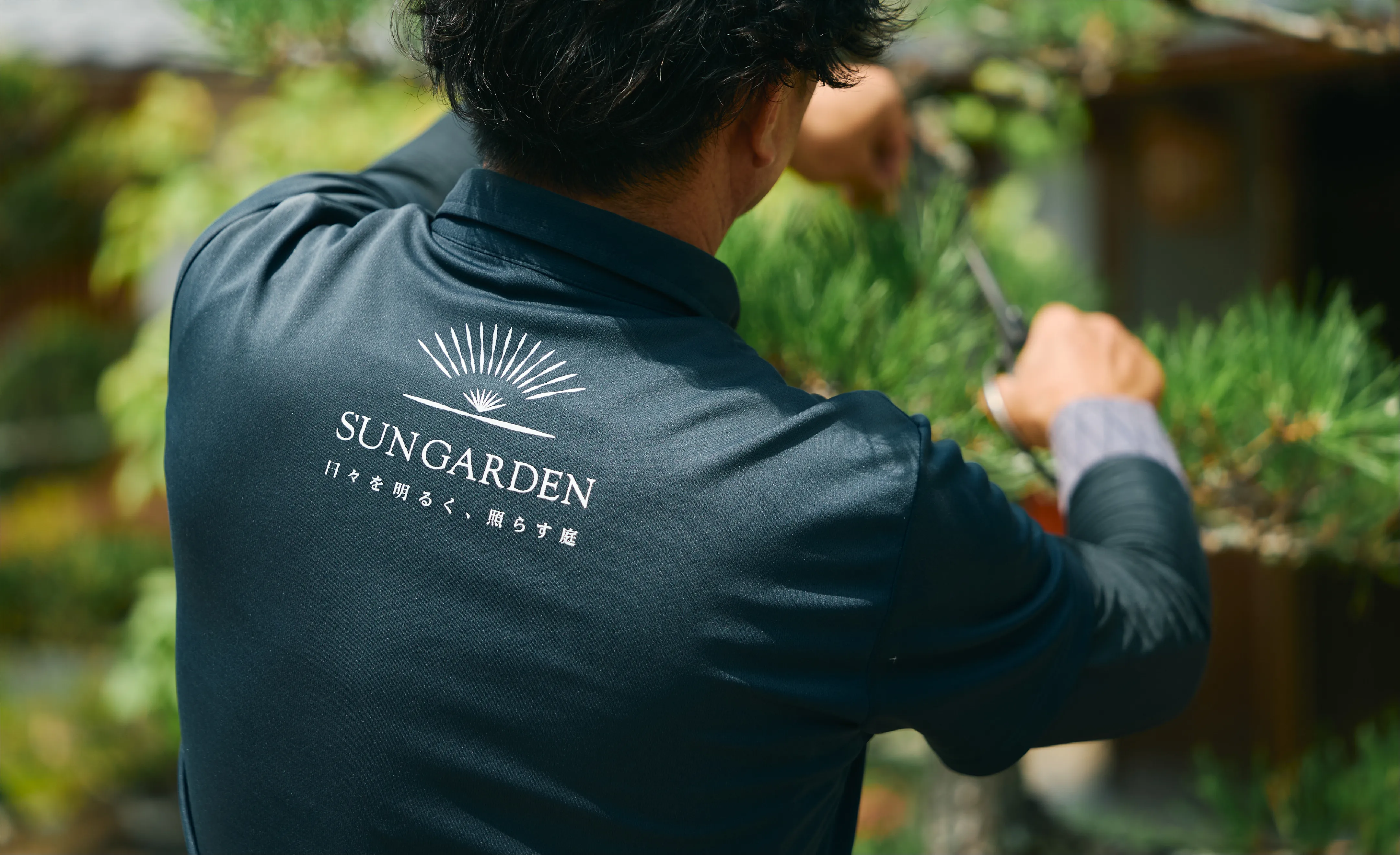 男性が剪定を行う様子