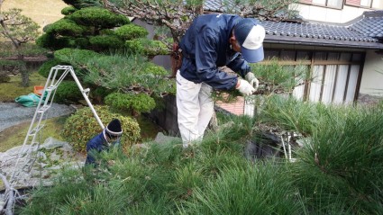 庭木の剪定　姫路市