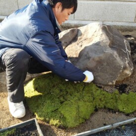 砂苔の築山　播磨町