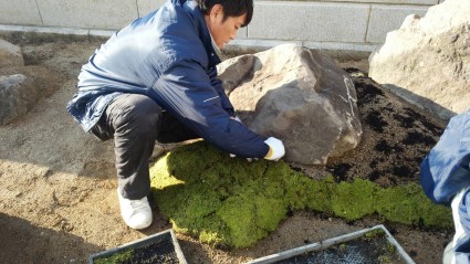 砂苔の築山　播磨町