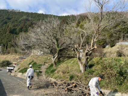 たつの市植栽工事