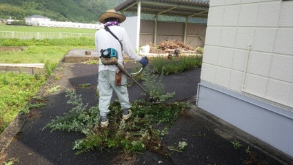 除草