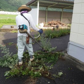 除草作業