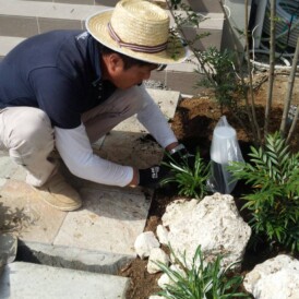 植栽工事　加古川市