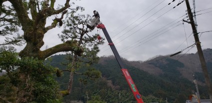 佐用町の庭木の剪定作業