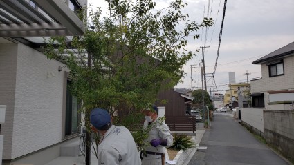 姫路市シンボルツリー植栽工事