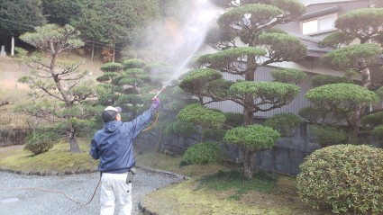 サンガーデン庭木の剪定