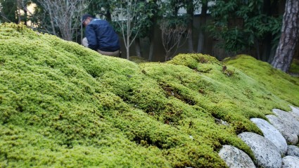 庭園管理