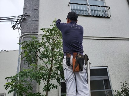 姫路花壇植栽剪定