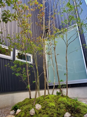 デザイン性の高いモダンな坪庭 姫路市の外構 エクステリア お庭のことなら サンガーデンへ