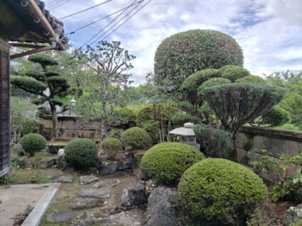 宍粟市剪定工事