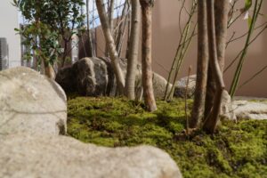 雑木を使ったこだわり和の趣のある自然な坪庭 姫路市M様邸