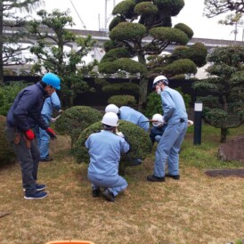 姫路庭木剪定講習会