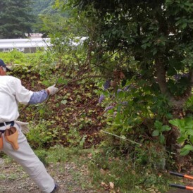 佐用町和庭リフォーム工事｜庭木の移設と抜根