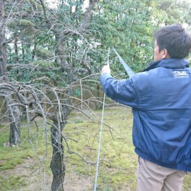 和庭リフォーム工事　姫路市